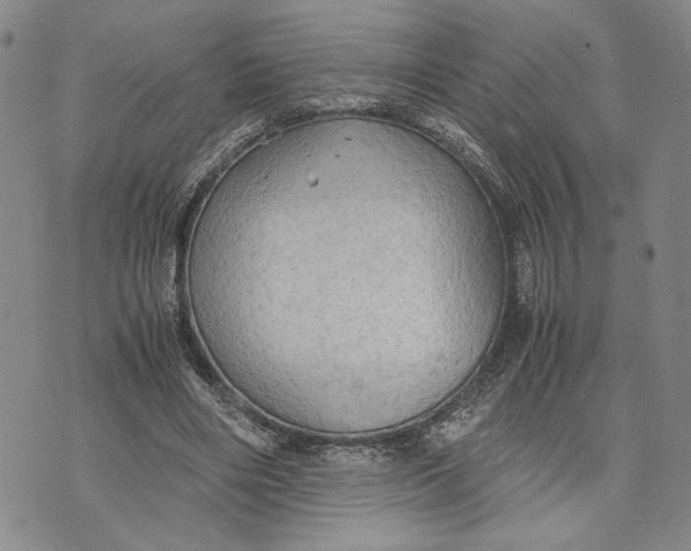 X0000072520490200608041536