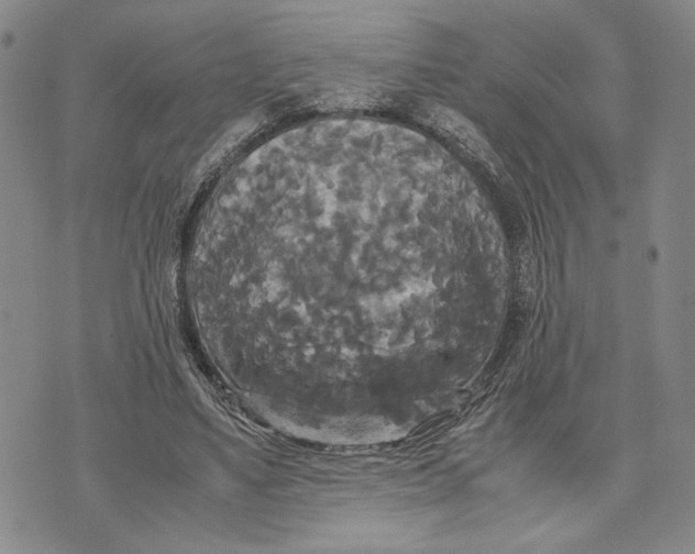 X0000072520491200608041536