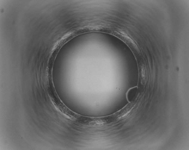 X0000072520492200608041536