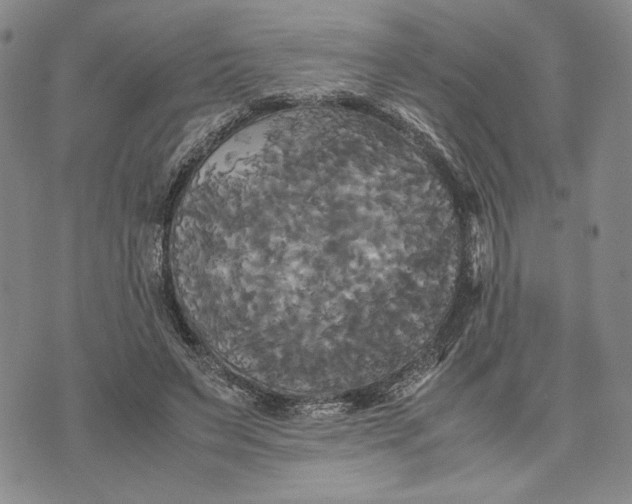 X0000072520495200608041535