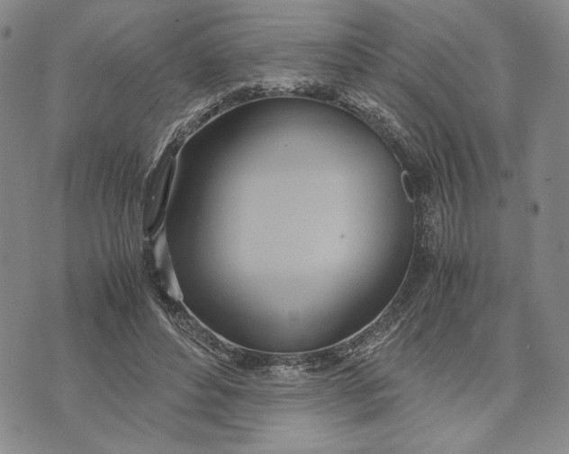 X0000072520496200608041535