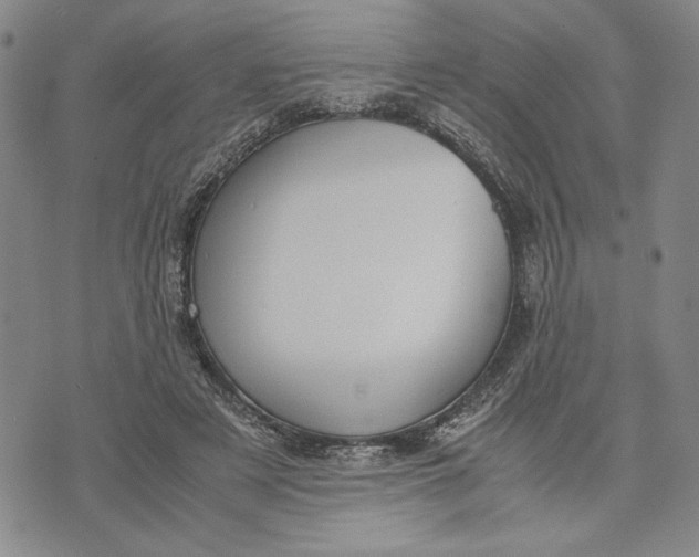 X0000072520497200608041535