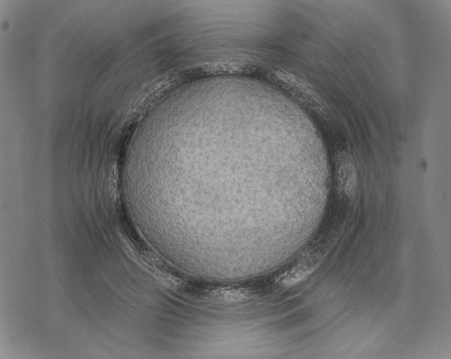 X0000072520498200608041535