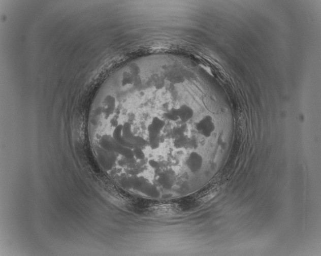 X0000072520499200608041535