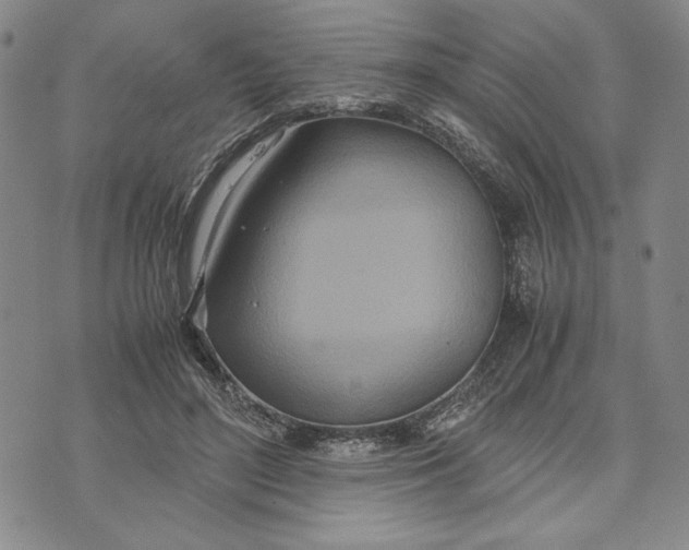 X0000072520500200608041535