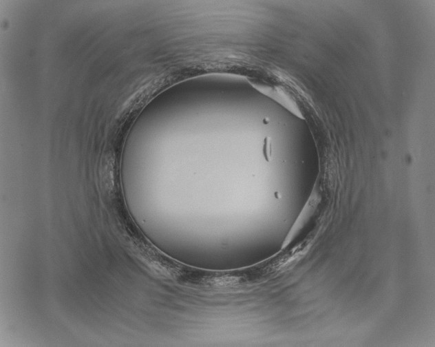 X0000072520501200608041535