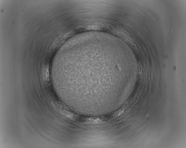 X0000072520502200608041535