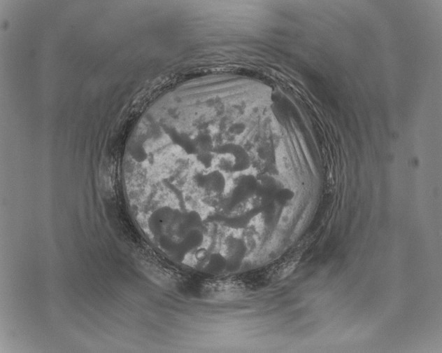 X0000072520503200608041535