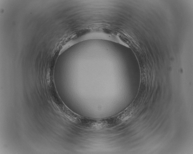 X0000072520504200608041535