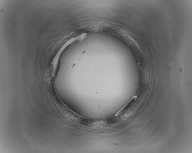 X0000072520505200608041535