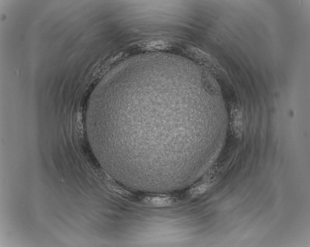 X0000072520506200608041535