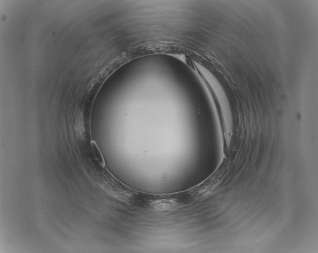 X0000072520508200608041535