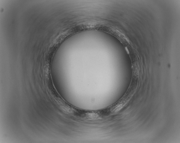 X0000072520509200608041535