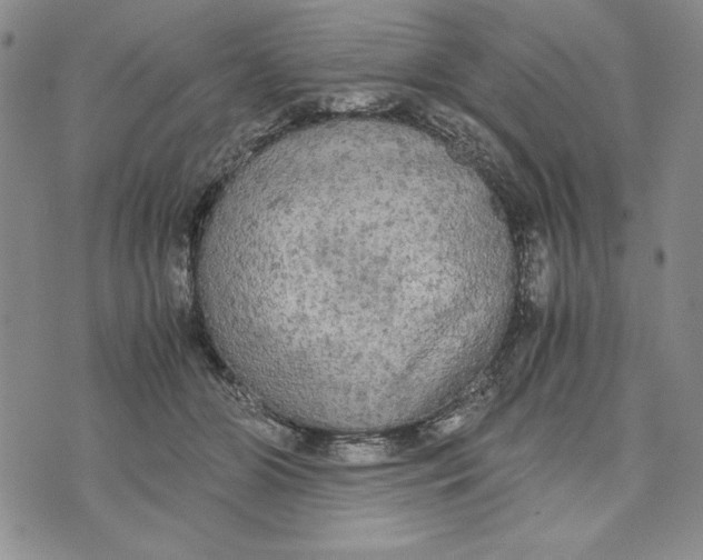 X0000072520510200608041535