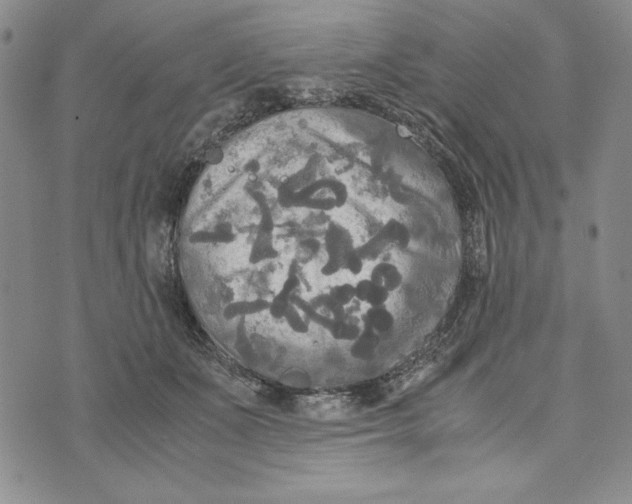 X0000072520511200608041535