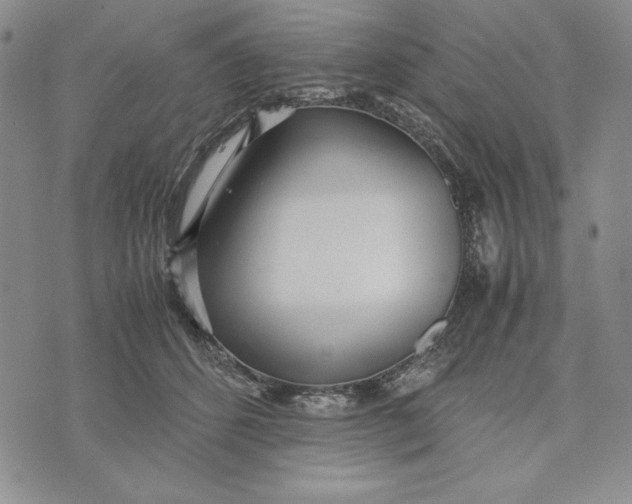 X0000072520512200608041535