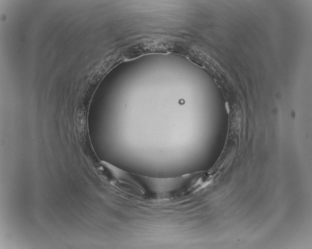 X0000072520513200608041535