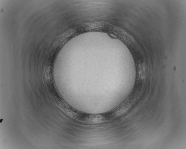 X0000072520514200608041535