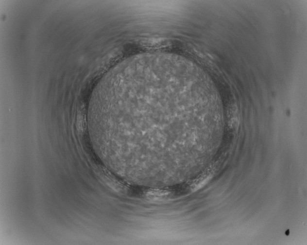 X0000072520515200608041535