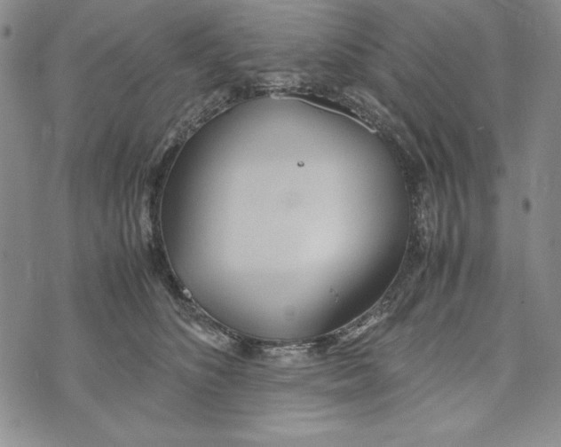 X0000072520516200608041535