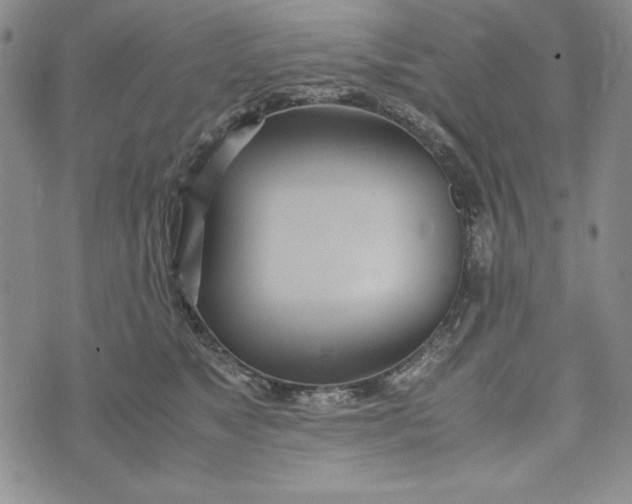 X0000072520517200608041535