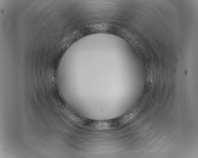 X0000072520518200608041535