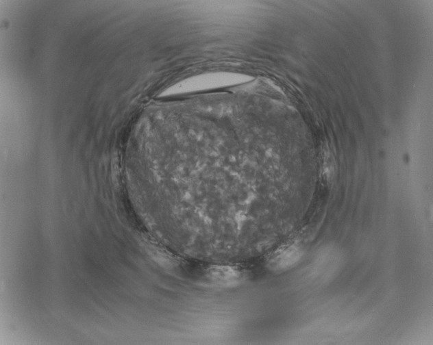 X0000072520519200608041535