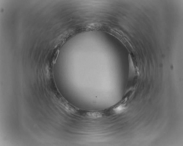 X0000072520520200608041535