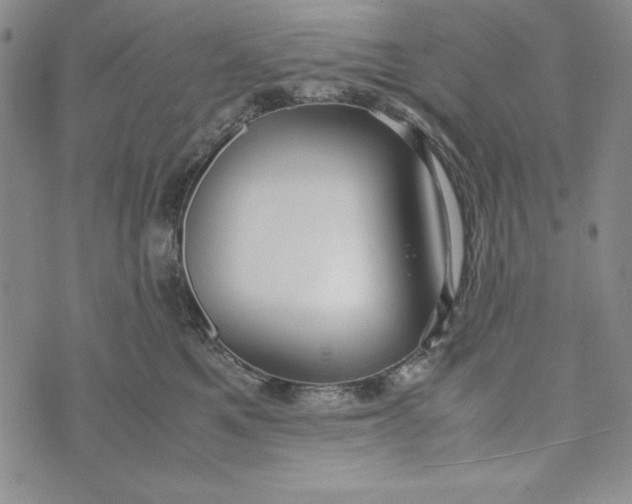 X0000072520521200608041535