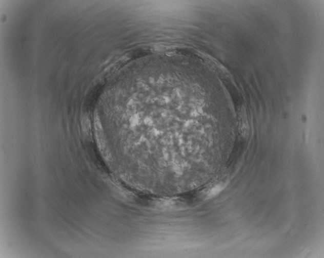 X0000072520523200608041535