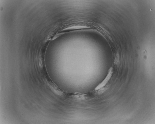 X0000072520524200608041535