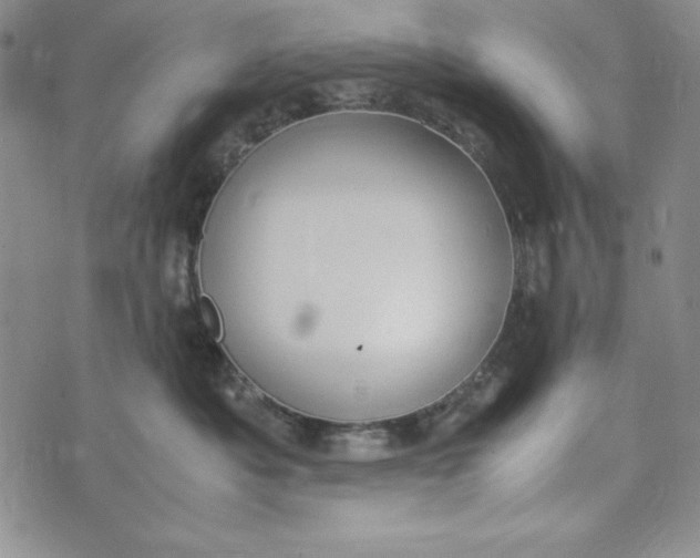 X0000072520525200608041535