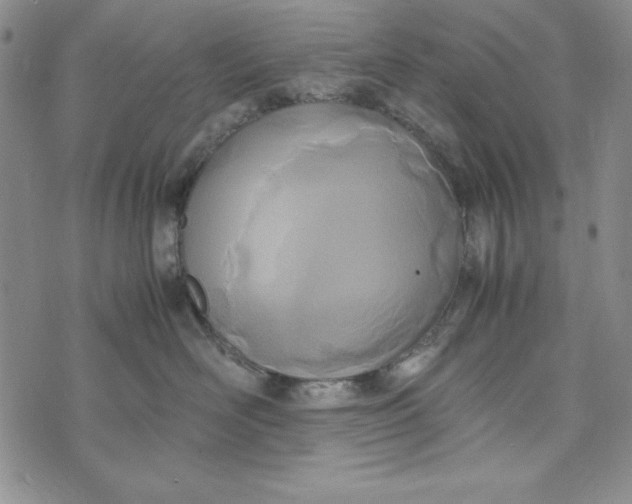 X0000072520526200608041535