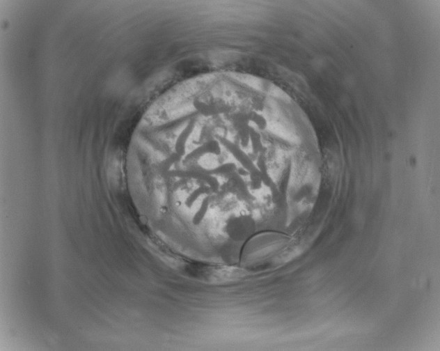 X0000072520527200608041535