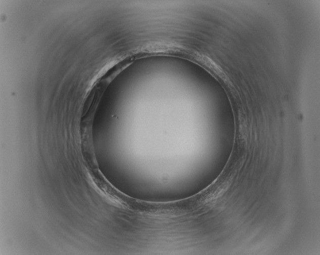 X0000072520530200608041534