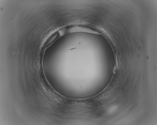 X0000072520531200608041534