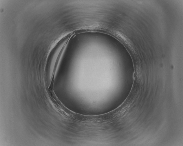 X0000072520532200608041534