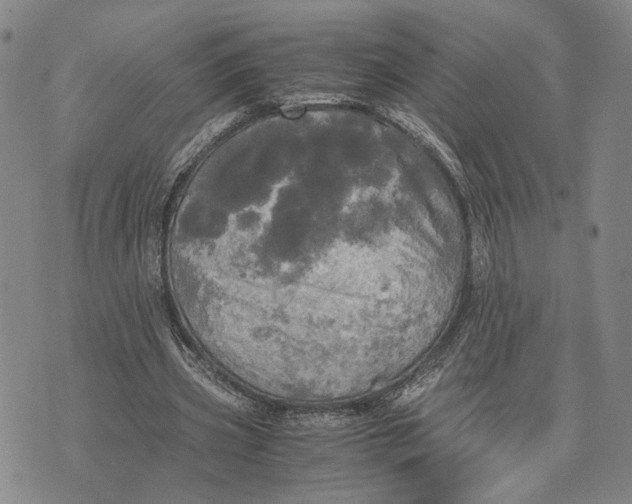 X0000072520533200608041534