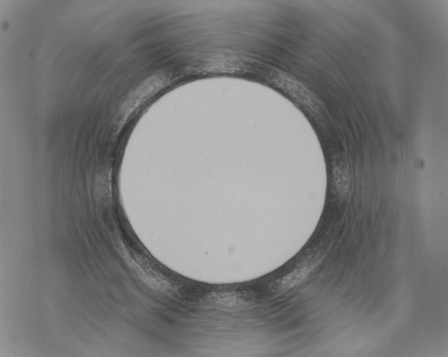 X0000072520534200608041534