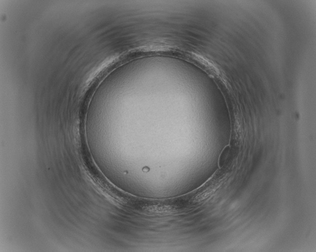 X0000072520535200608041534