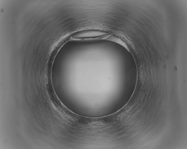 X0000072520536200608041534