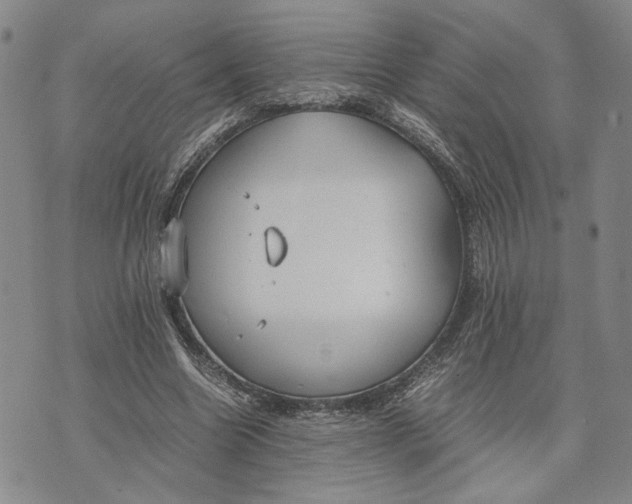 X0000072520538200608041534