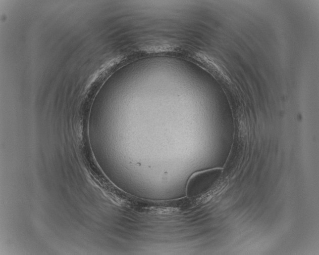 X0000072520539200608041534