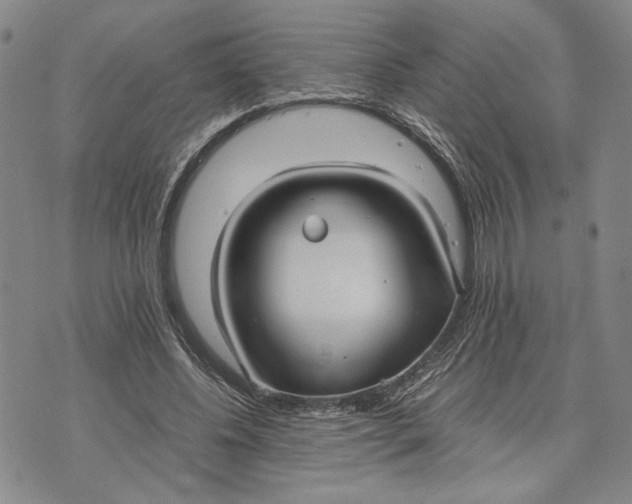 X0000072520540200608041534