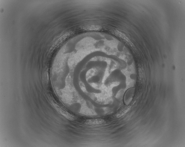 X0000072520541200608041534