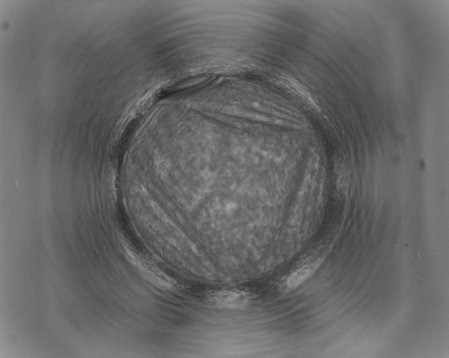 X0000072520542200608041534