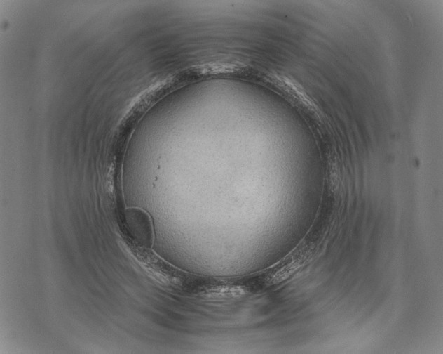 X0000072520543200608041534