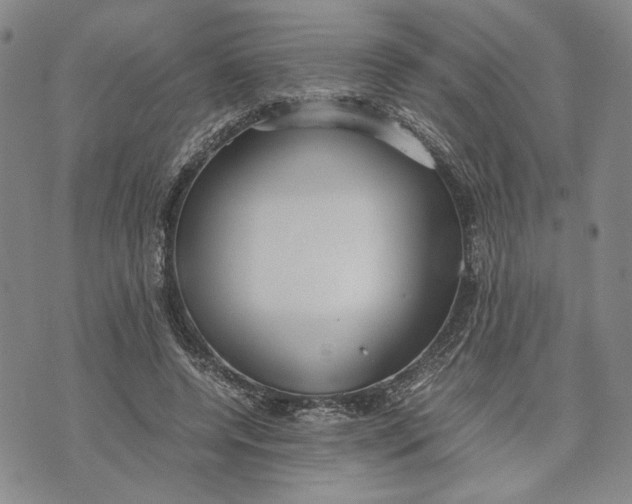 X0000072520544200608041534