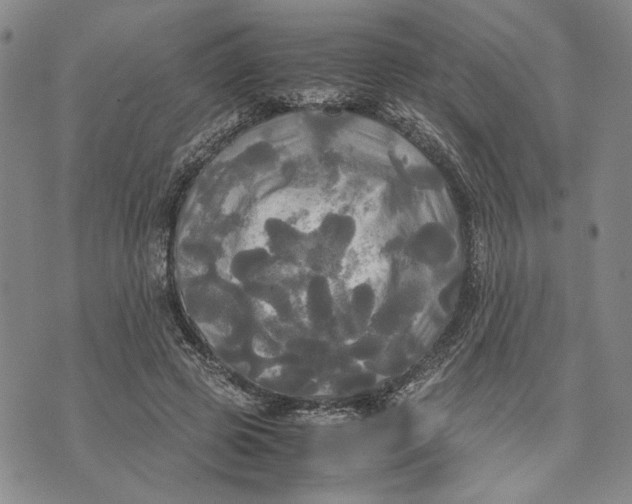 X0000072520545200608041534