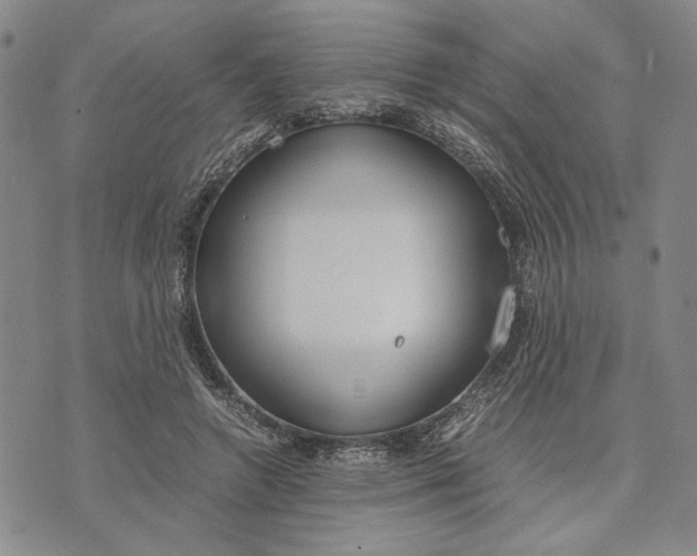 X0000072520546200608041534